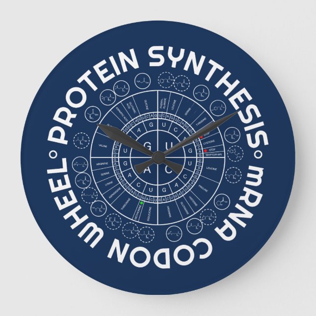 PROTEIN SYNTHESIS - mRNA to AMINO ACID CODON WHEEL Große Wanduhr (Vorderseite)