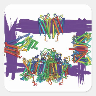 Protéines Membranes À Travers Un Stickers Boîte