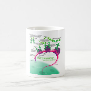 Proteinsynthese-Diagramm der RNA-Übersetzung Kaffeetasse