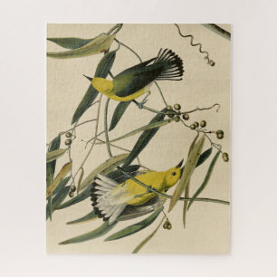 Prothonotary Warbler - Audubons Vögel in Amerika