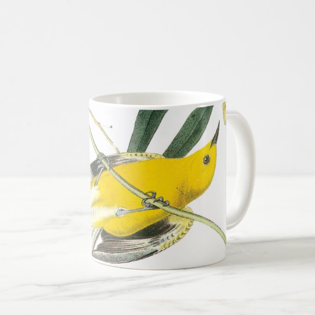 Prothonotary Warbler von Audubon Kaffeetasse (VorderseiteRechts)