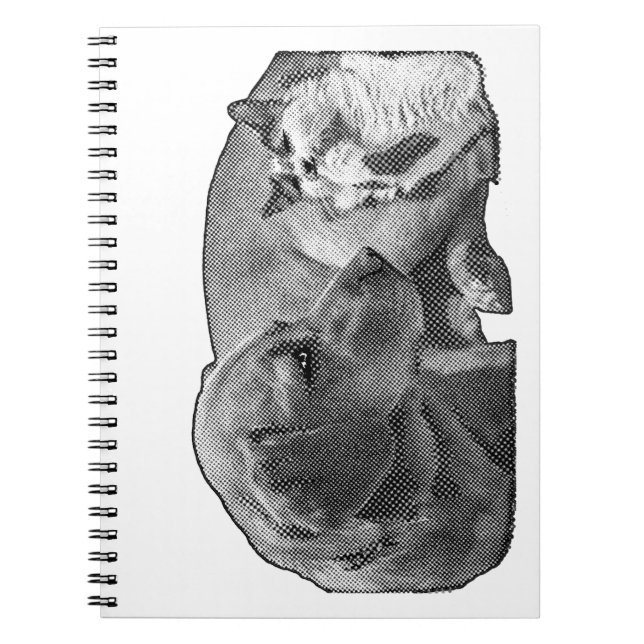 Protokoll der Friedenszone Notizblock (Vorderseite)