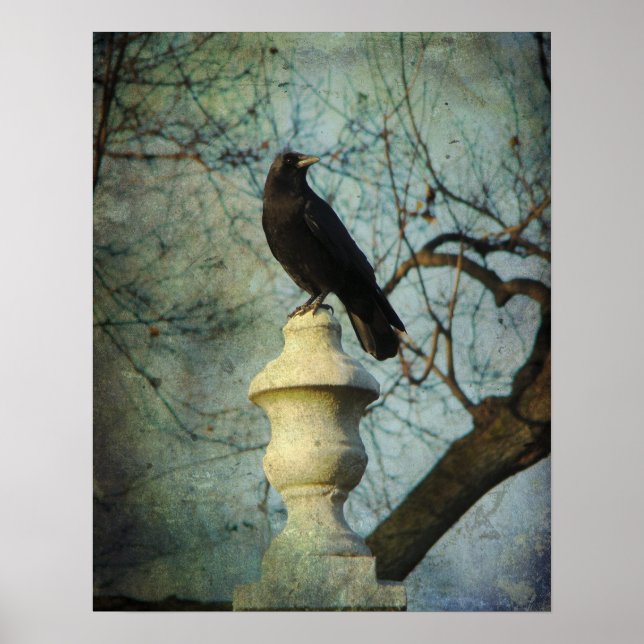 Proud American Crow Poster (Vorne)