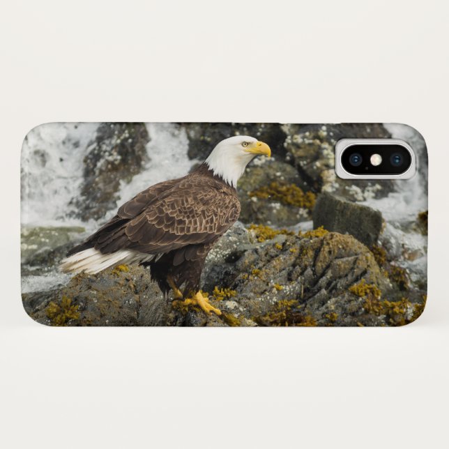 Proud Bald Eagle Case-Mate iPhone Hülle (Rückseite (Horizontal))
