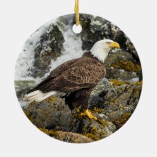 Proud Bald Eagle Keramik Ornament