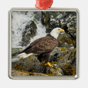 Proud Bald Eagle Ornament Aus Metall