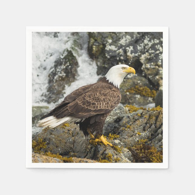 Proud Bald Eagle Serviette (Vorderseite)