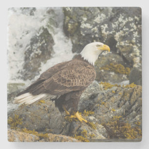 Proud Bald Eagle Steinuntersetzer