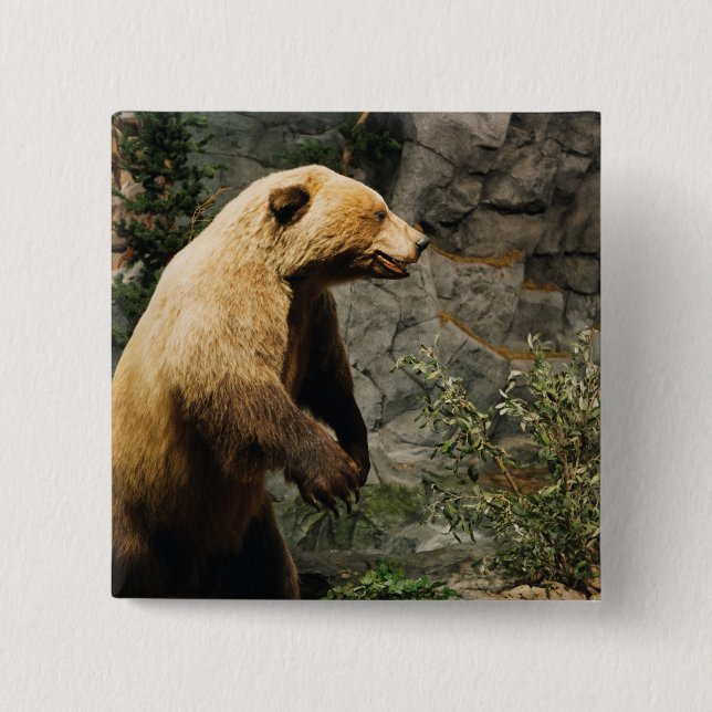 Proud Bear Button (Vorderseite)