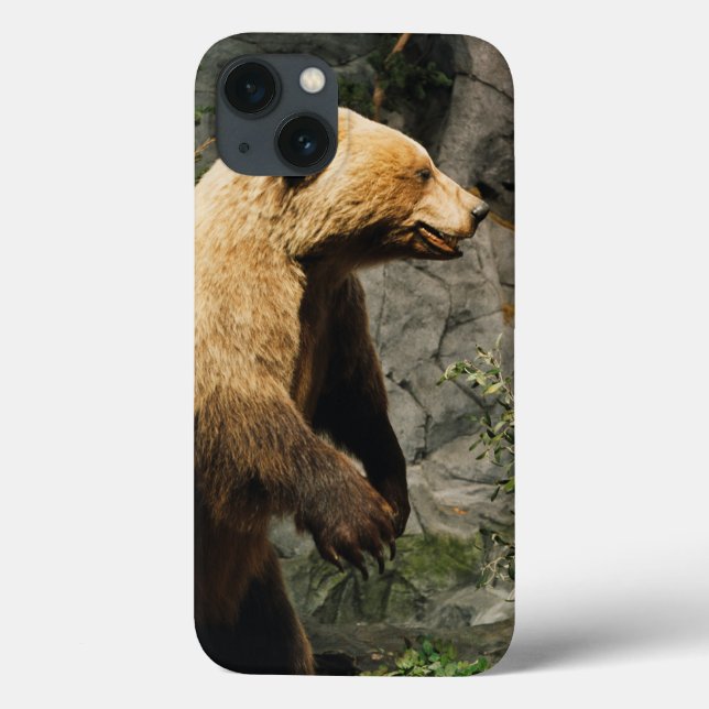 Proud Bear Case-Mate iPhone Hülle (Rückseite)