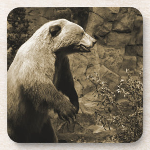 Proud Bear Getränkeuntersetzer