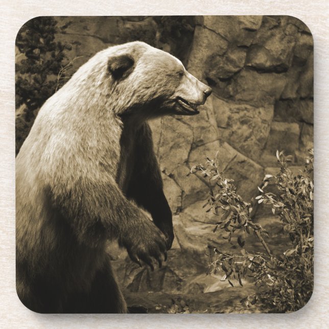 Proud Bear Getränkeuntersetzer (Vorderseite)