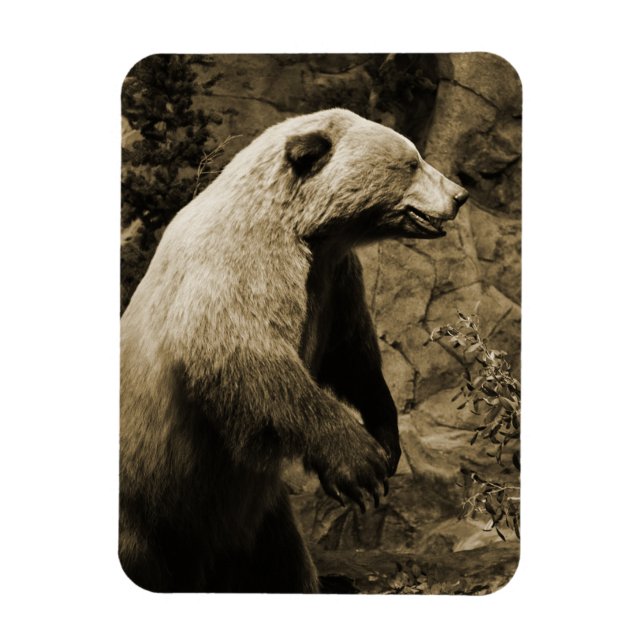 Proud Bear Magnet (Vertikal)