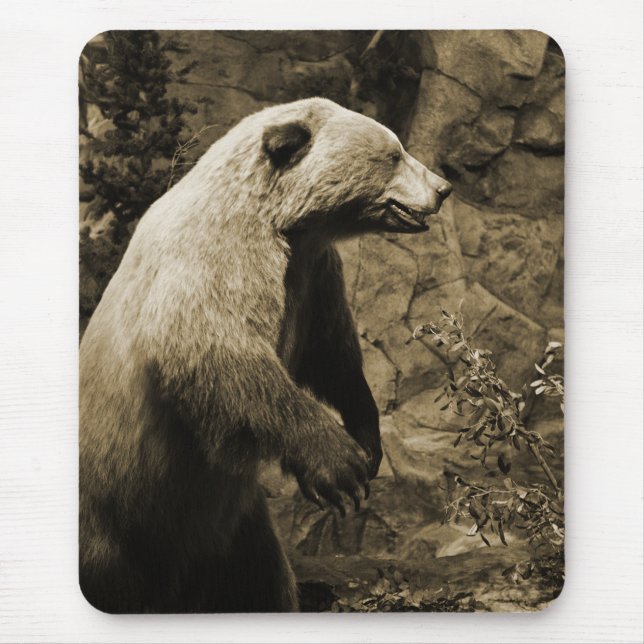 Proud Bear Mousepad (Vorne)