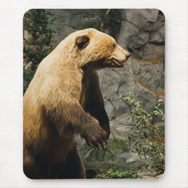 Proud Bear Mousepad (Vorne)