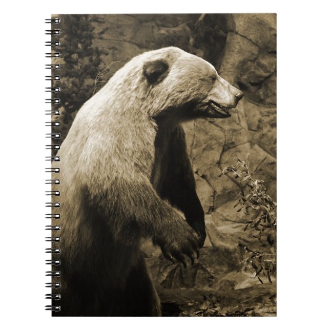 Proud Bear Notizblock (Vorderseite)