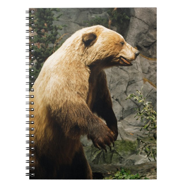 Proud Bear Notizblock (Vorderseite)