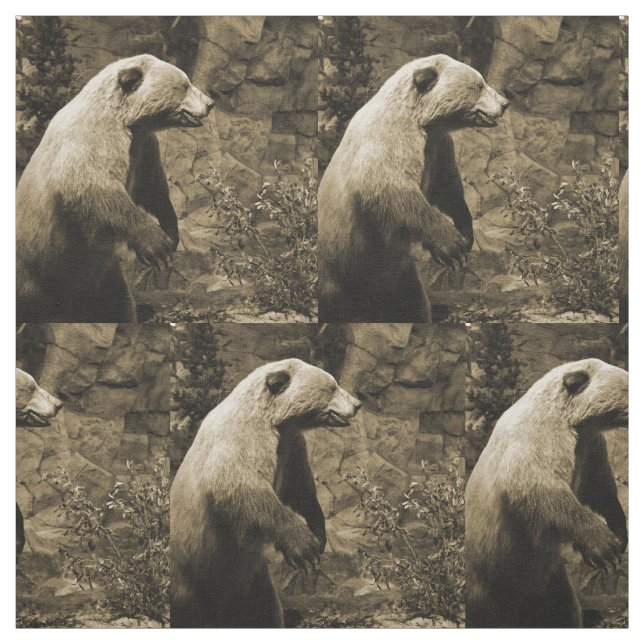 Proud Bear Stoff (Muster)