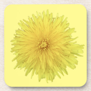 Proud Dandelion Blume - transparent. Getränkeuntersetzer