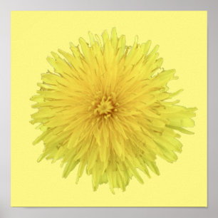 Proud Dandelion Blume - transparent. Poster