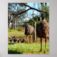 Proud Emu Eltern, Poster