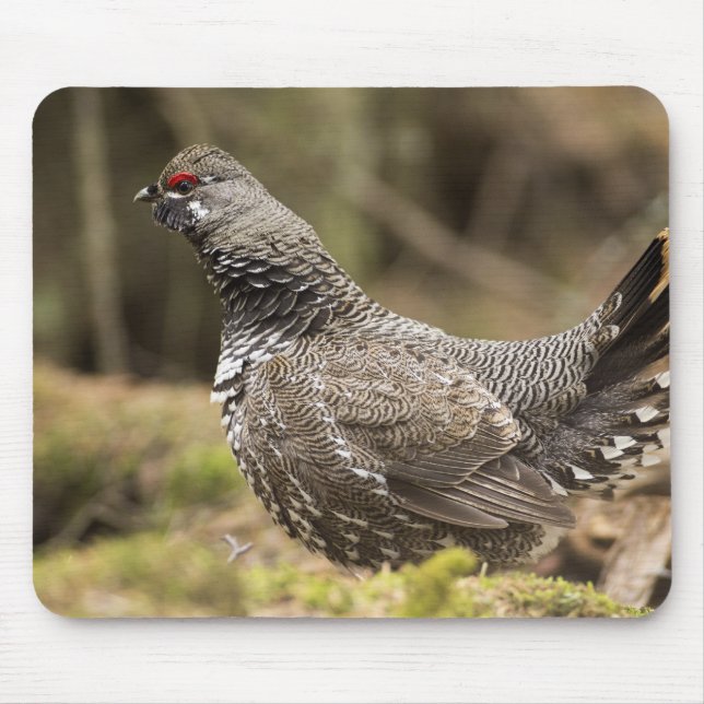 Proud Grouse Mousepad (Vorne)