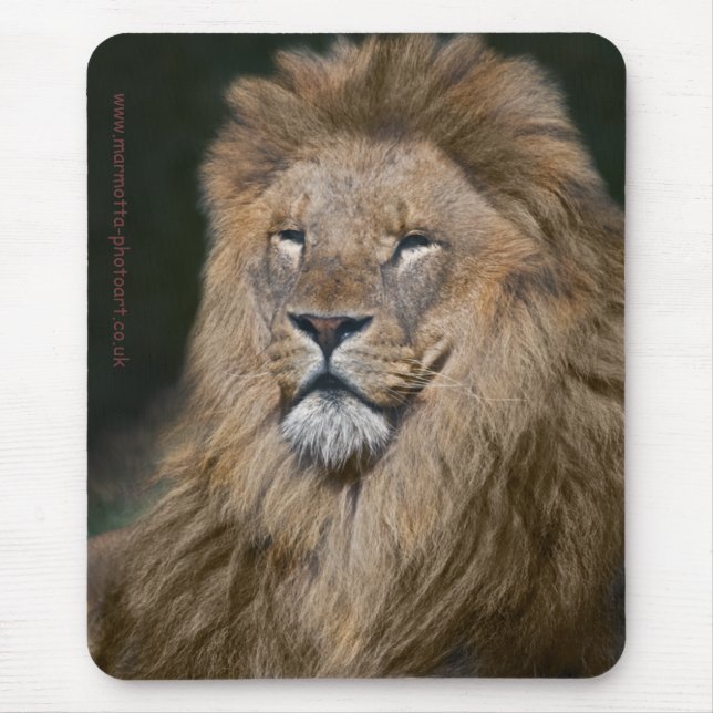 Proud Lion Mousemat Mousepad (Vorne)