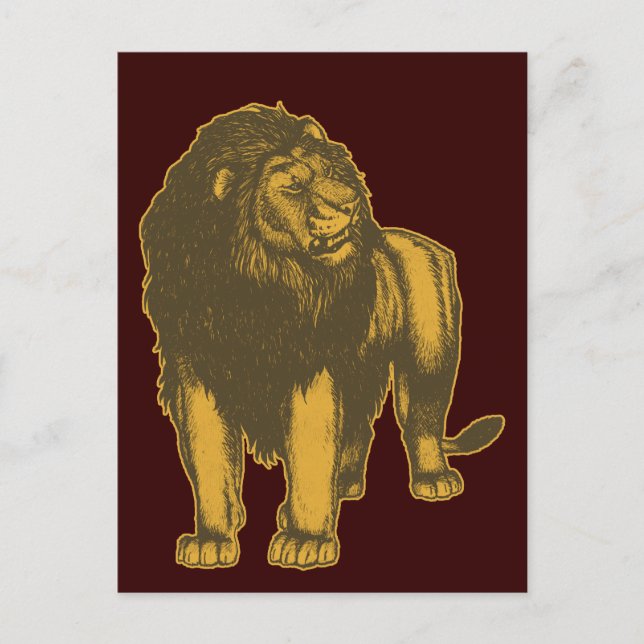 Proud Lion Postcard Postkarte (Vorderseite)