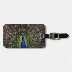 Proud Peacock Gepäckanhänger