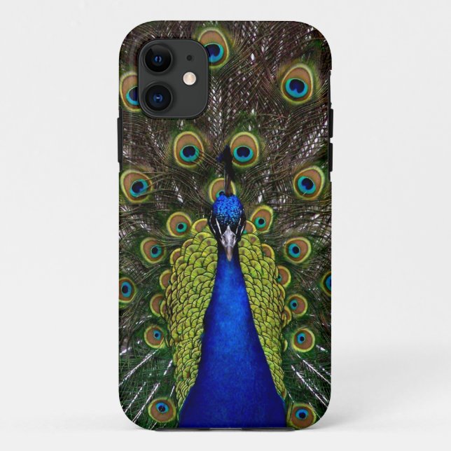 Proud Peacock iPhone-Gehäuse Case-Mate iPhone Hülle (Rückseite)