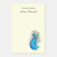Proud Peacock