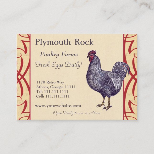 Proud Plymouth Rock Rooster Poultry Farm Visitenkarte (Vorderseite)