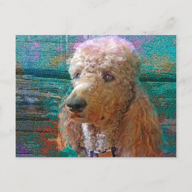 PROUD POODLE POSTKARTE (Vorderseite)