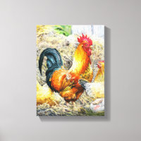 Proud Rooster