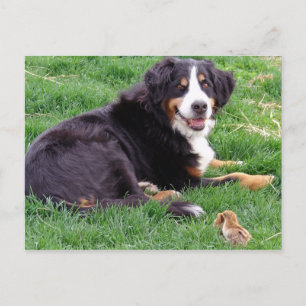 Proud Serena Postkarte