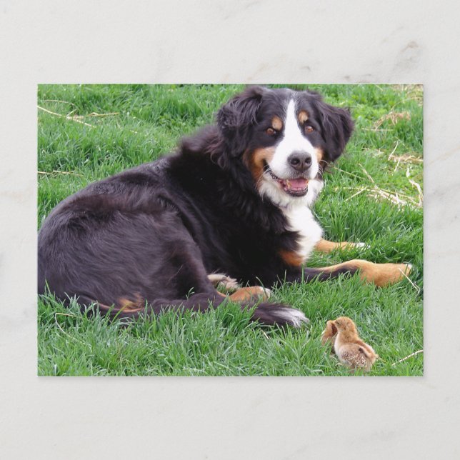 Proud Serena Postkarte (Vorderseite)