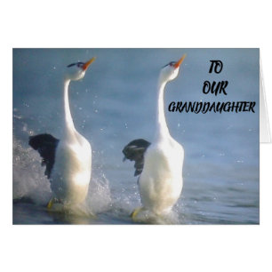 PROUD VON IHNEN **GRANDAUGHTER** WÜNSCHE SICH FÜR 