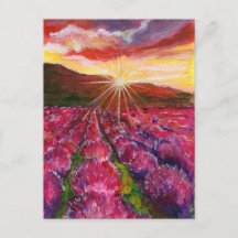 Provance Pink Lavender Field France