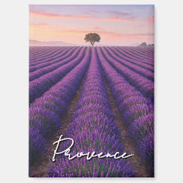 Provence France Lavender Fields Magnet