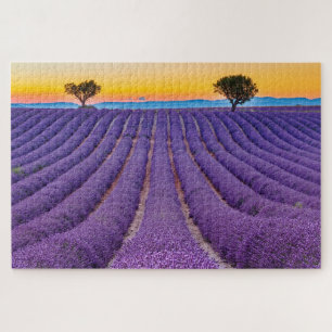 Provence, Frankreich.Plateau von Valensole.