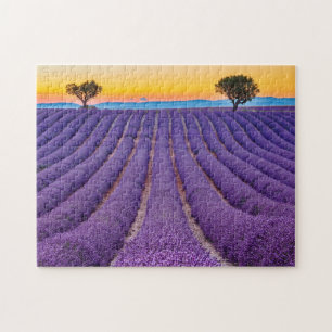 Provence, Frankreich Plateau von Valensole.