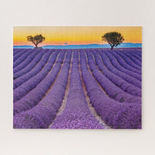 Provence, Frankreich Plateau von Valensole. (Horizontal)