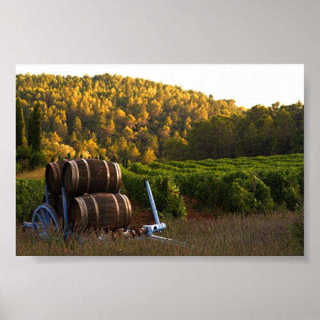 Provence, Frankreich Poster (Vorne)