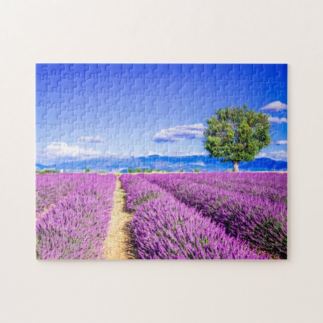 Provence Lavander (Horizontal)
