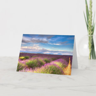 Provence - Lavendel fängt Grußkarte auf Karte