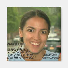 PROVERBEN 29:11 MAGNET