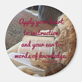 Proverbes 23:12 aimant