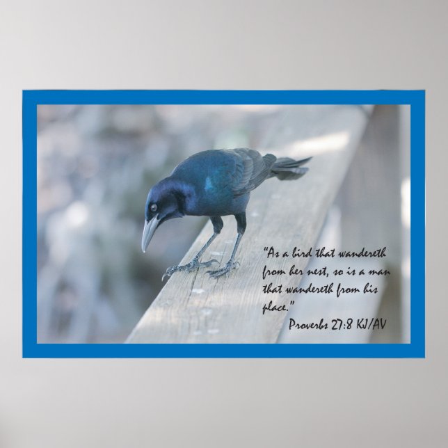 Proverbes 27:8 Écriture Poster (Devant)