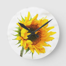 Provincetown Sunflower Runde Wanduhr