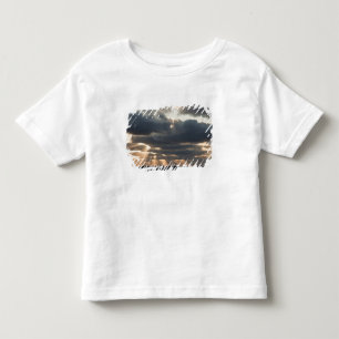 Provinzhauptstadt, Massachusetts Kleinkind T-shirt